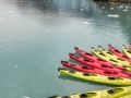 UnCruise Kayaks ready for exploring Lamplugh Glacier in Glacier Bay National Park_DSF8941-Edit