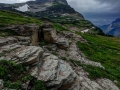 Logans Pass, Glacier National Park