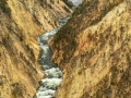 Yellowstone-8932